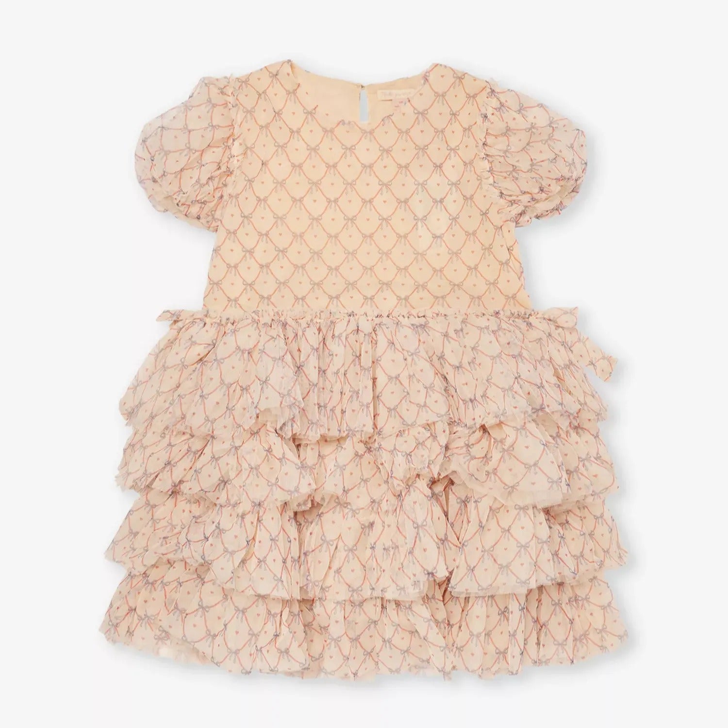 Fay Print Tulle Party Dress (Check Bowie)